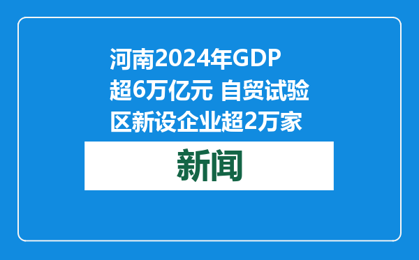 河南2024年GDP超6万亿元 自贸试验区新设企业超2万家