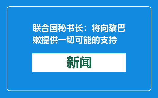 联合国秘书长：将向黎巴嫩提供一切可能的支持