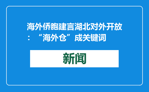 海外侨胞建言湖北对外开放：“海外仓”成关键词