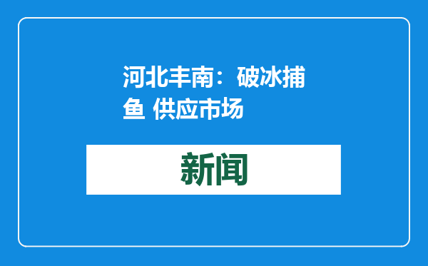 河北丰南：破冰捕鱼 供应市场