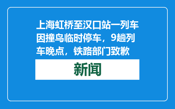 上海虹桥至汉口站一列车因撞鸟临时停车，9趟列车晚点，铁路部门致歉