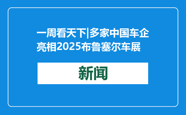 一周看天下|多家中国车企亮相2025布鲁塞尔车展