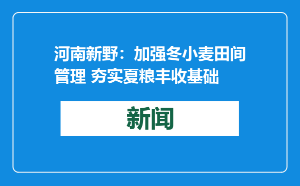河南新野：加强冬小麦田间管理 夯实夏粮丰收基础