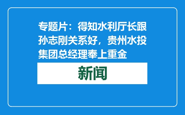专题片：得知水利厅长跟孙志刚关系好，贵州水投集团总经理奉上重金