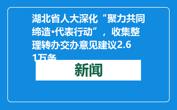 湖北省人大深化“聚力共同缔造·代表行动”，收集整理转办交办意见建议2.61万条
