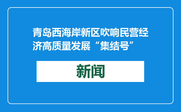 青岛西海岸新区吹响民营经济高质量发展“集结号”