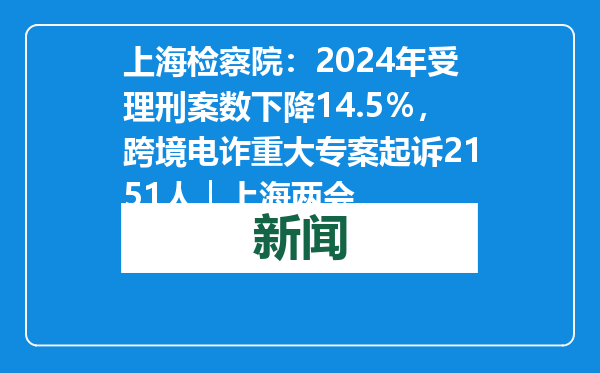 上海检察院：2024年受理刑案数下降14.5％，跨境电诈重大专案起诉2151人｜上海两会