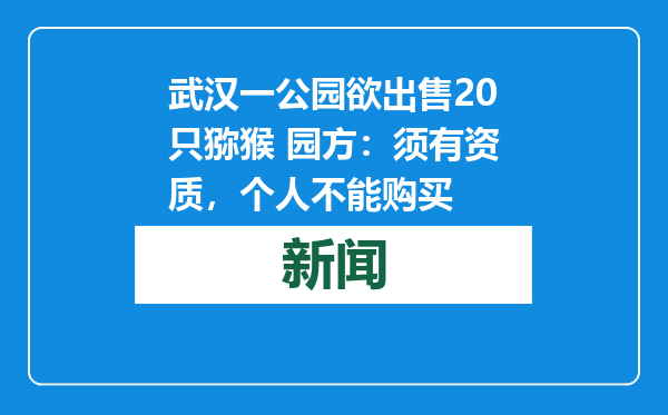武汉一公园欲出售20只猕猴 园方：须有资质，个人不能购买