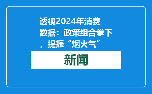 透视2024年消费数据：政策组合拳下，提振“烟火气”