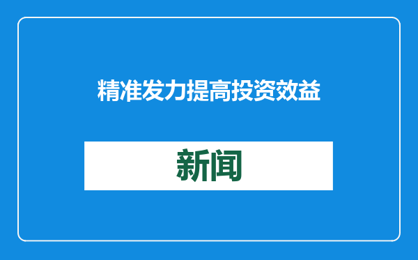 精准发力提高投资效益