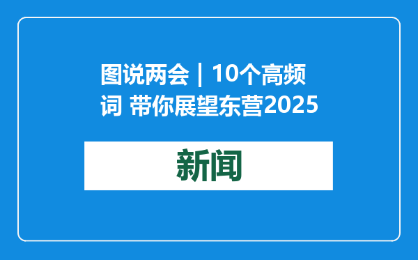 图说两会 | 10个高频词 带你展望东营2025