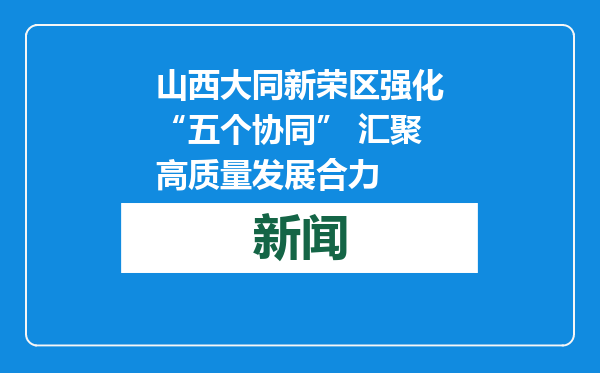 山西大同新荣区强化“五个协同” 汇聚高质量发展合力