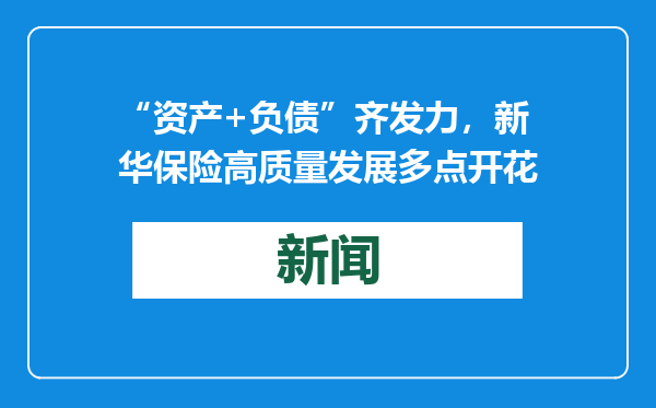 “资产+负债”齐发力，新华保险高质量发展多点开花