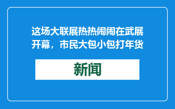 这场大联展热热闹闹在武展开幕，市民大包小包打年货