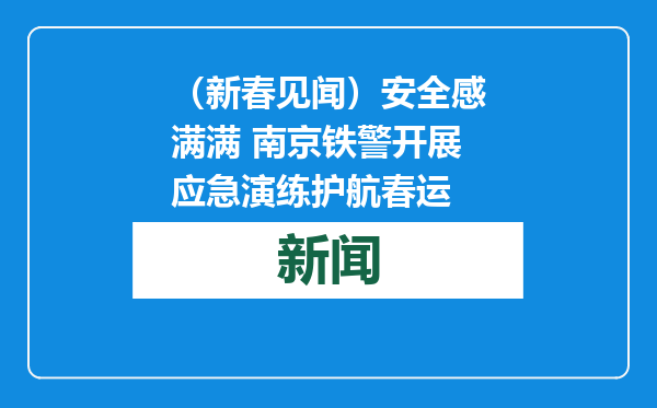 （新春见闻）安全感满满 南京铁警开展应急演练护航春运