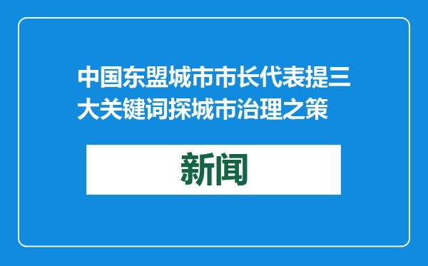 中国东盟城市市长代表提三大关键词探城市治理之策