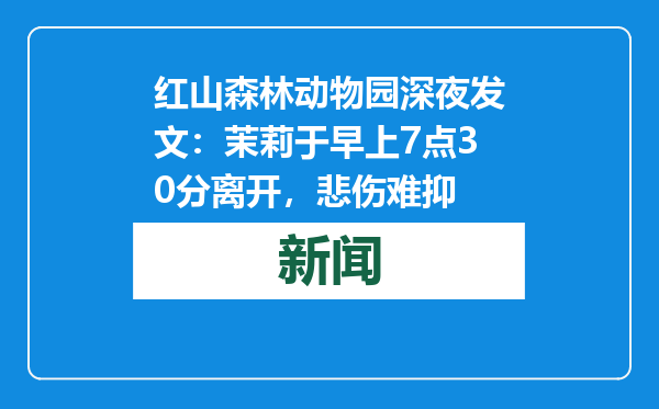红山森林动物园深夜发文：茉莉于早上7点30分离开，悲伤难抑