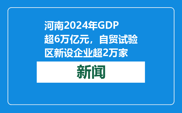 河南2024年GDP超6万亿元，自贸试验区新设企业超2万家