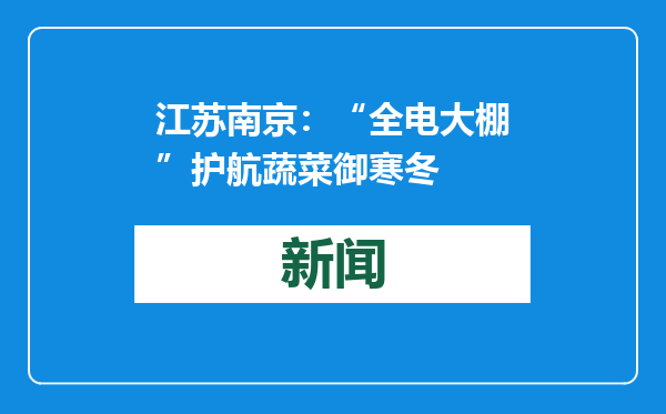 江苏南京：“全电大棚”护航蔬菜御寒冬
