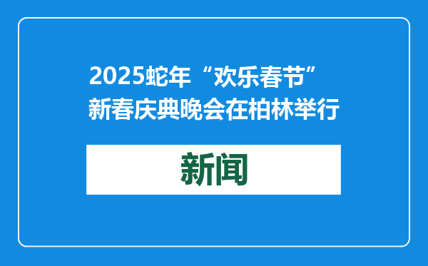 2025蛇年“欢乐春节”新春庆典晚会在柏林举行