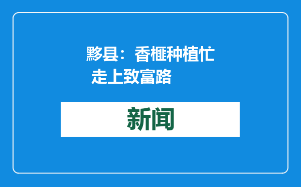 黟县：香榧种植忙 走上致富路