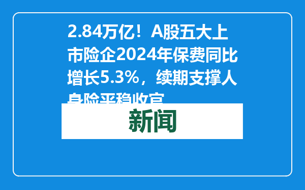 2.84万亿！A股五大上市险企2024年保费同比增长5.3%，续期支撑人身险平稳收官