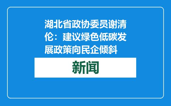 湖北省政协委员谢清伦：建议绿色低碳发展政策向民企倾斜