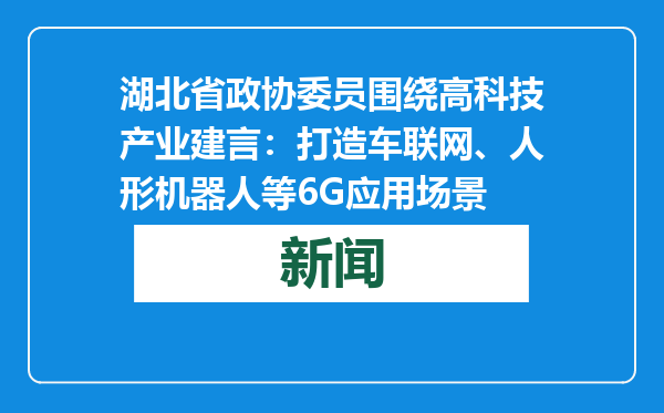 湖北省政协委员围绕高科技产业建言：打造车联网、人形机器人等6G应用场景
