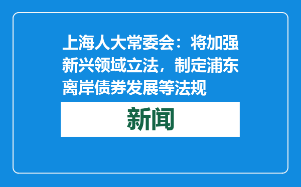 上海人大常委会：将加强新兴领域立法，制定浦东离岸债券发展等法规