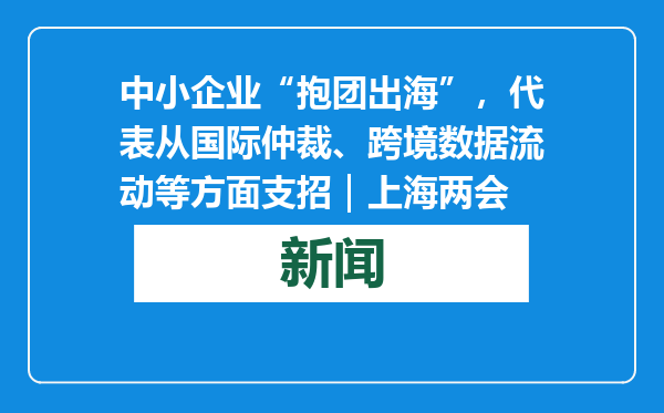 中小企业“抱团出海”，代表从国际仲裁、跨境数据流动等方面支招｜上海两会