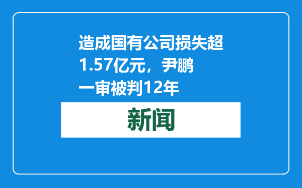 造成国有公司损失超1.57亿元，尹鹏一审被判12年