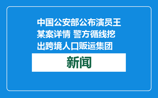 中国公安部公布演员王某案详情 警方循线挖出跨境人口贩运集团