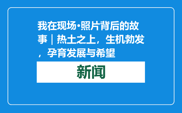 我在现场·照片背后的故事｜热土之上，生机勃发，孕育发展与希望