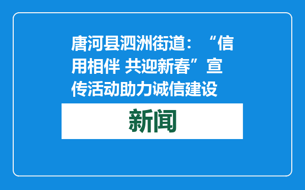唐河县泗洲街道：“信用相伴 共迎新春”宣传活动助力诚信建设