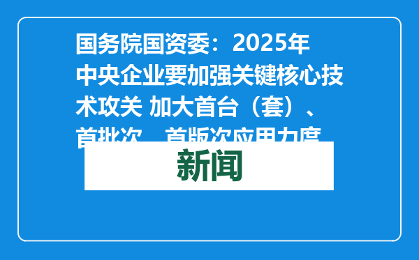 国务院国资委：2025年中央企业要加强关键核心技术攻关 加大首台（套）、首批次、首版次应用力度