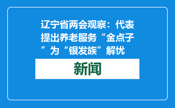 辽宁省两会观察：代表提出养老服务“金点子”为“银发族”解忧