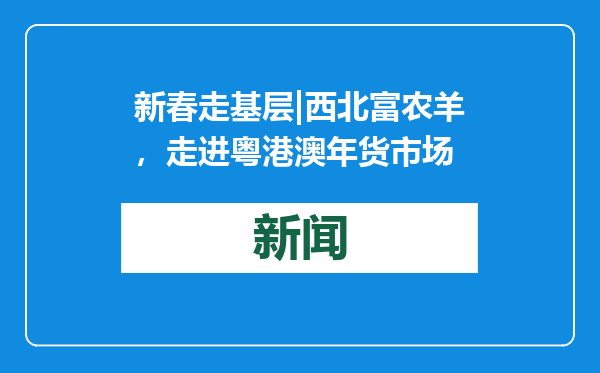 新春走基层|西北富农羊，走进粤港澳年货市场