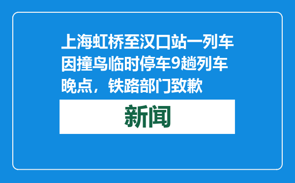 上海虹桥至汉口站一列车因撞鸟临时停车9趟列车晚点，铁路部门致歉