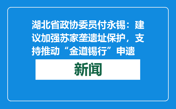 湖北省政协委员付永锡：建议加强苏家垄遗址保护，支持推动“金道锡行”申遗