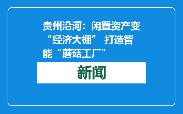 贵州沿河：闲置资产变“经济大棚” 打造智能“蘑菇工厂”