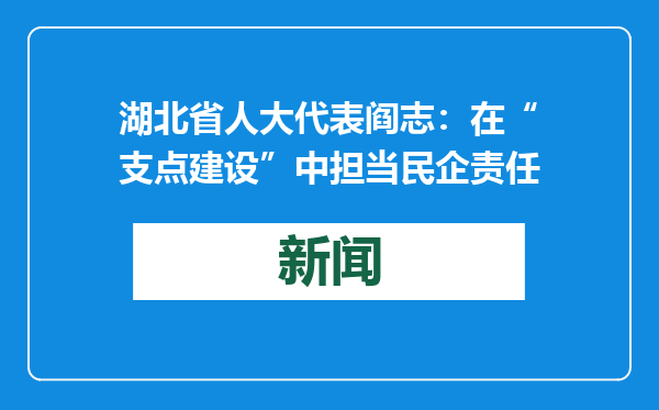 湖北省人大代表阎志：在“支点建设”中担当民企责任