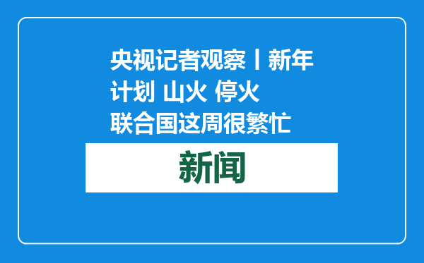 央视记者观察丨新年计划 山火 停火 联合国这周很繁忙