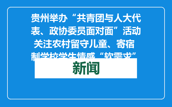 贵州举办“共青团与人大代表、政协委员面对面”活动 关注农村留守儿童、寄宿制学校学生情感“软需求”