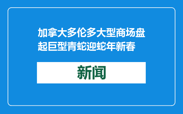 加拿大多伦多大型商场盘起巨型青蛇迎蛇年新春