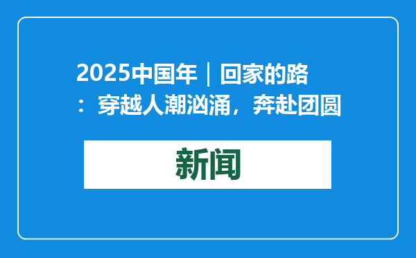 2025中国年｜回家的路：穿越人潮汹涌，奔赴团圆