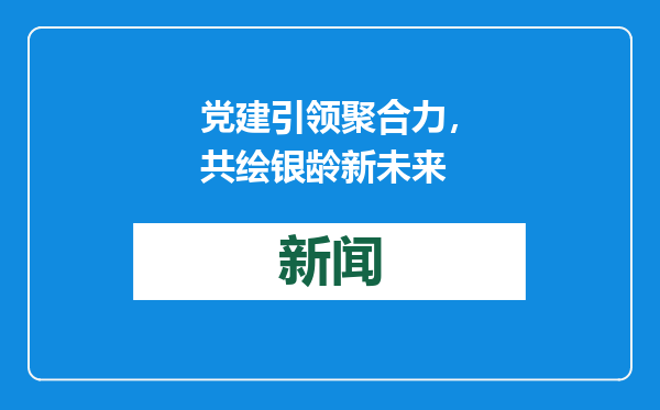 党建引领聚合力，共绘银龄新未来