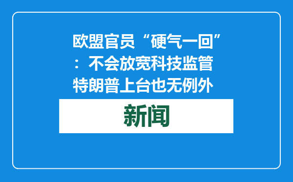 欧盟官员“硬气一回”：不会放宽科技监管 特朗普上台也无例外