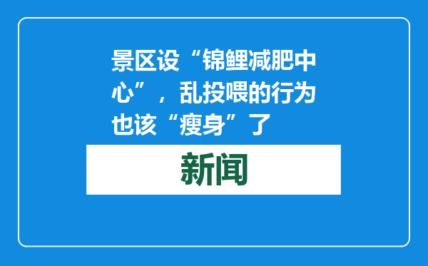 景区设“锦鲤减肥中心”，乱投喂的行为也该“瘦身”了
