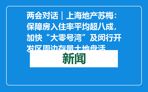 两会对话｜上海地产苏梅：保障房入住率平均超八成，加快“大零号湾”及闵行开发区周边存量土地盘活