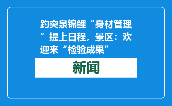 趵突泉锦鲤“身材管理”提上日程，景区：欢迎来“检验成果”